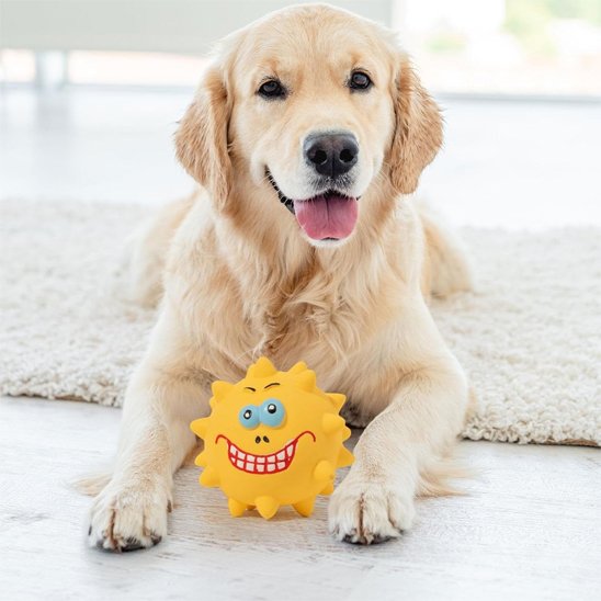 Jouet pour chien​