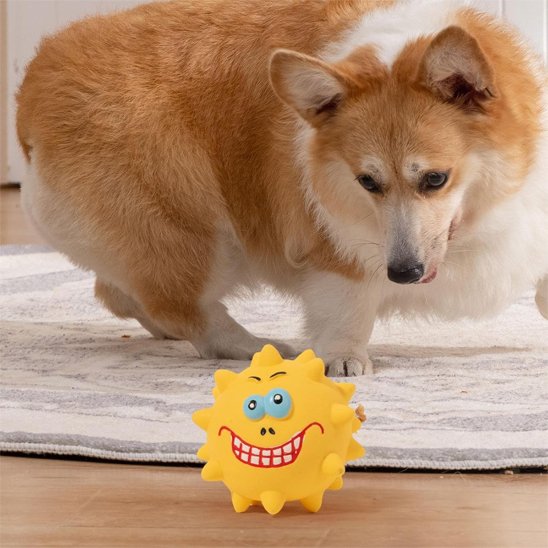 Jouet pour chien​