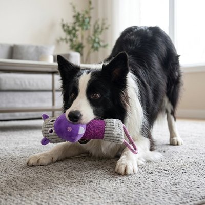 Jouet pour chien​ 
