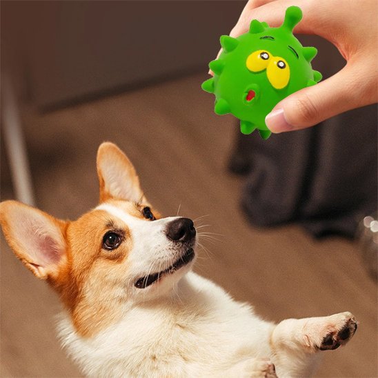 Jouet pour chien​
