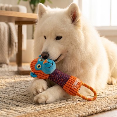 Jouet pour chien​ 