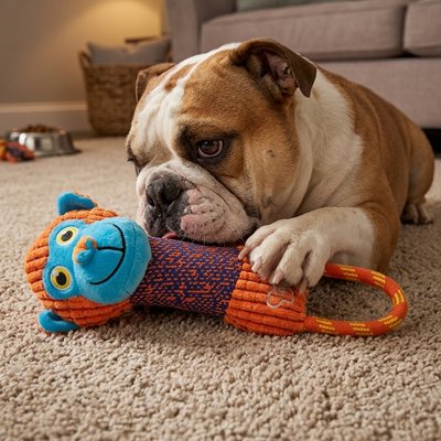 Jouet pour chien​ 